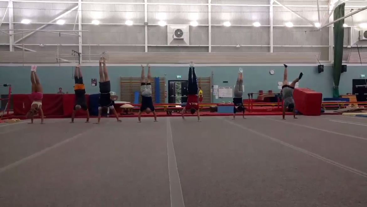National Handstand Day 23rd June 2018